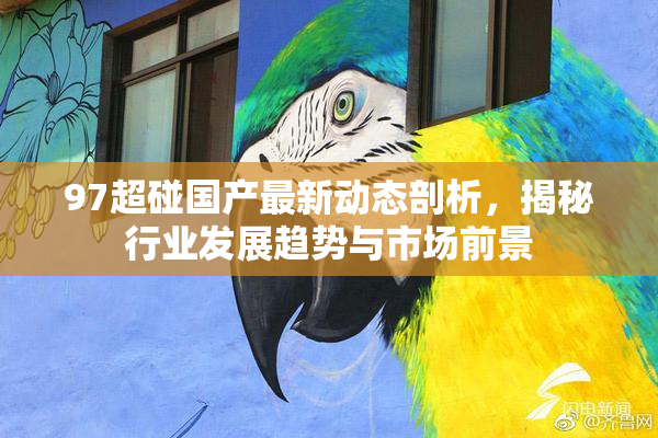 97超碰国产最新动态剖析，揭秘行业发展趋势与市场前景