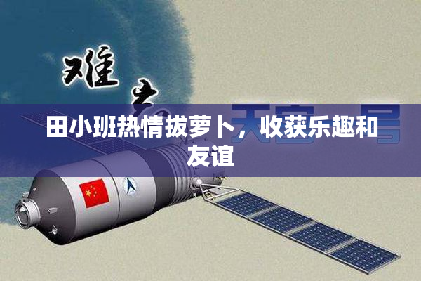 田小班热情拔萝卜，收获乐趣和友谊