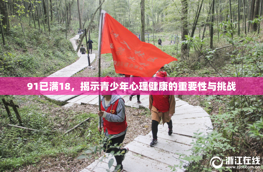91已满18，揭示青少年心理健康的重要性与挑战