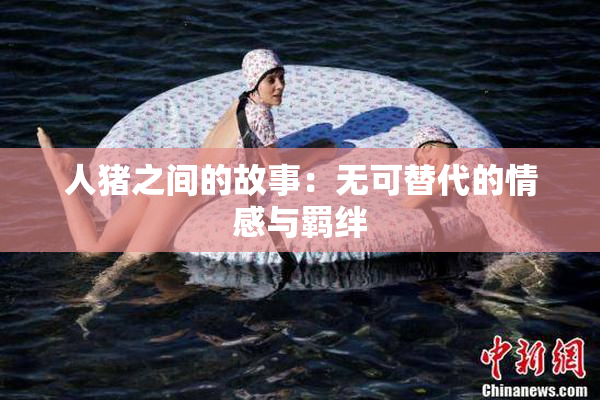 人猪之间的故事：无可替代的情感与羁绊
