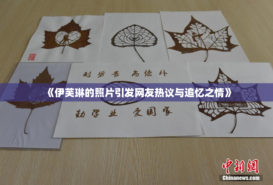 《伊芙琳的照片引发网友热议与追忆之情》
