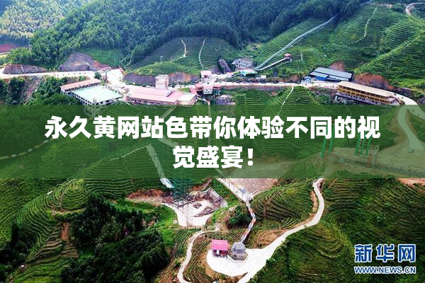 永久黄网站色带你体验不同的视觉盛宴！