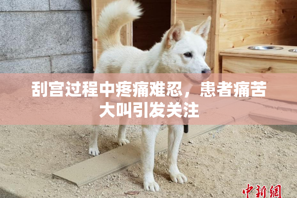 刮宫过程中疼痛难忍，患者痛苦大叫引发关注