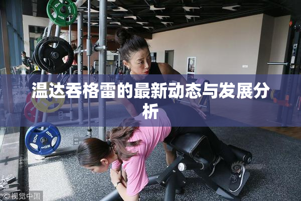 温达吞格雷的最新动态与发展分析