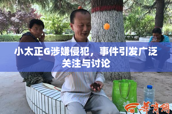 小太正G涉嫌侵犯，事件引发广泛关注与讨论