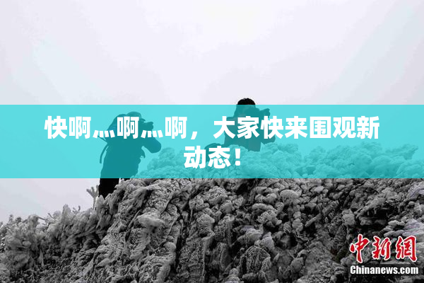 快啊灬啊灬啊，大家快来围观新动态！
