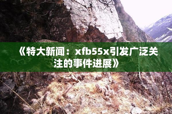 《特大新闻：xfb55x引发广泛关注的事件进展》