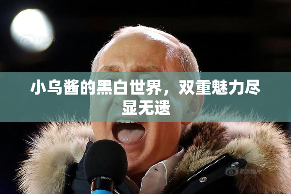 小乌酱的黑白世界，双重魅力尽显无遗