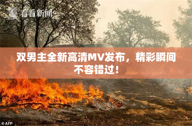 双男主全新高清MV发布，精彩瞬间不容错过！