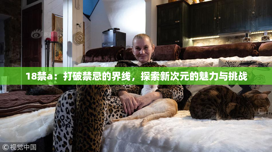18禁a：打破禁忌的界线，探索新次元的魅力与挑战