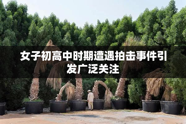 女子初高中时期遭遇拍击事件引发广泛关注