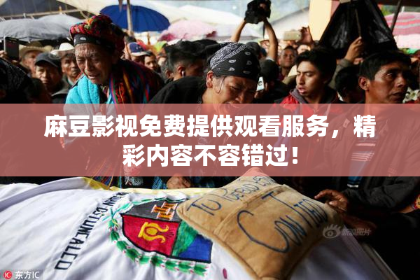 麻豆影视免费提供观看服务，精彩内容不容错过！