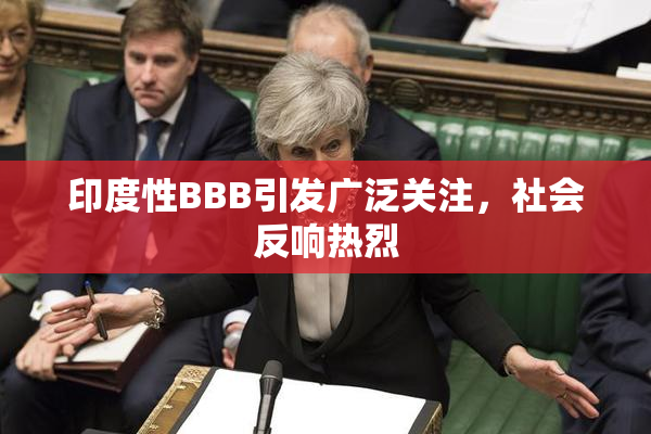 印度性BBB引发广泛关注，社会反响热烈