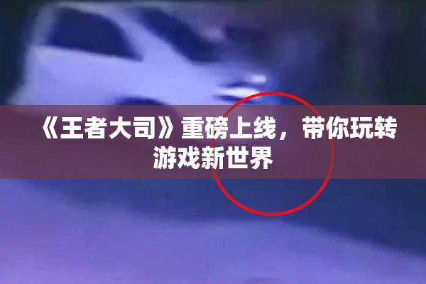 《王者大司》重磅上线，带你玩转游戏新世界