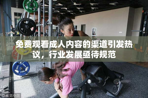免费观看成人内容的渠道引发热议，行业发展亟待规范