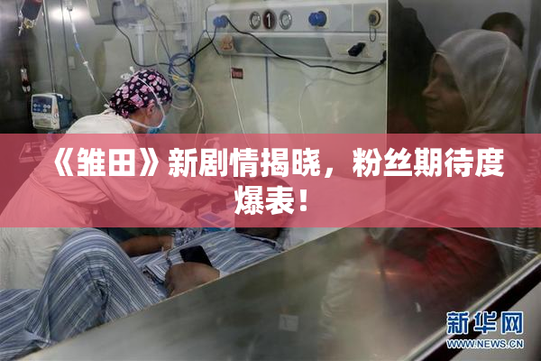《雏田》新剧情揭晓，粉丝期待度爆表！