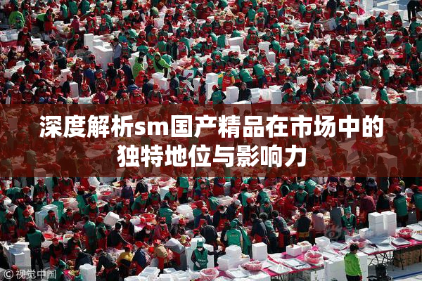 深度解析sm国产精品在市场中的独特地位与影响力