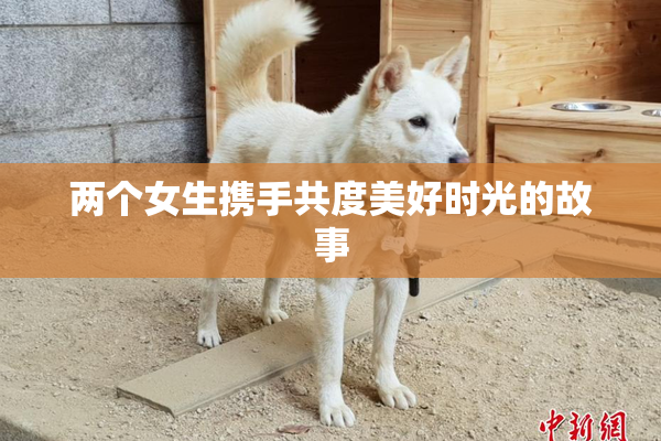 两个女生携手共度美好时光的故事