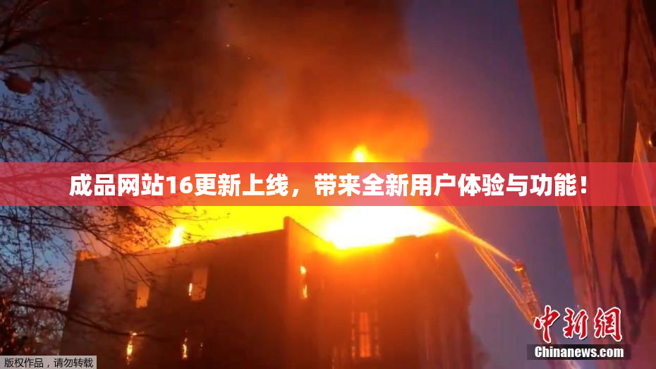 成品网站16更新上线，带来全新用户体验与功能！