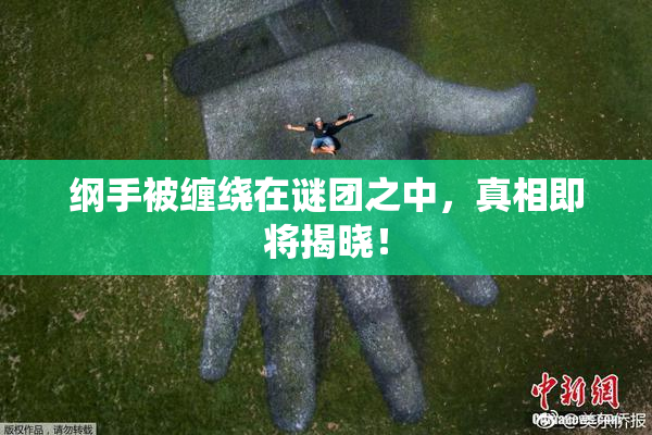 纲手被缠绕在谜团之中，真相即将揭晓！