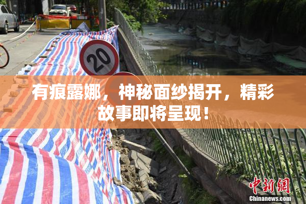 有痕露娜，神秘面纱揭开，精彩故事即将呈现！
