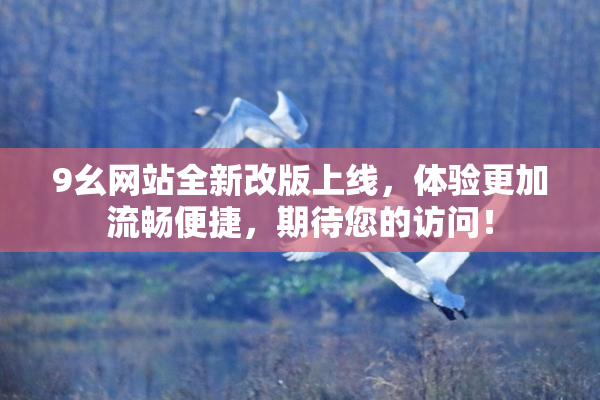 9幺网站全新改版上线，体验更加流畅便捷，期待您的访问！
