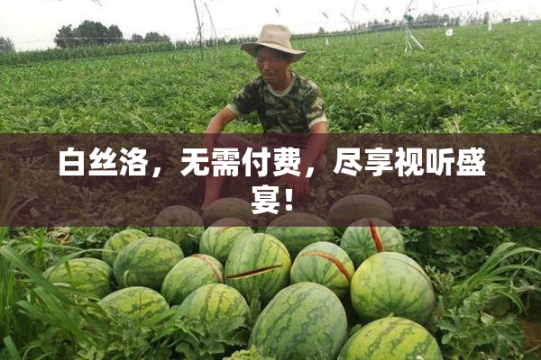 白丝洛，无需付费，尽享视听盛宴！