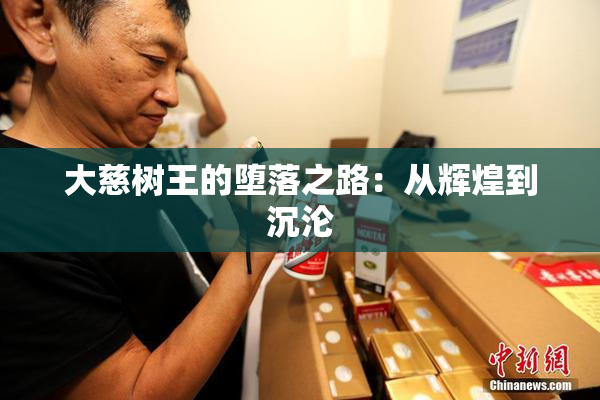 大慈树王的堕落之路：从辉煌到沉沦