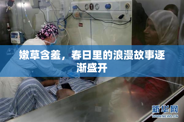 嫩草含羞，春日里的浪漫故事逐渐盛开
