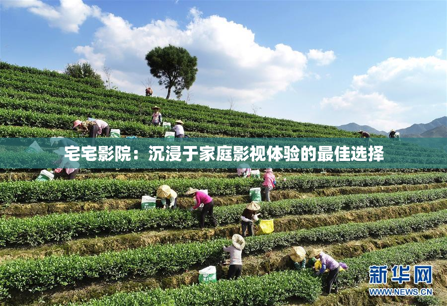 宅宅影院：沉浸于家庭影视体验的最佳选择