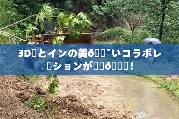 3D姉とインの美🔯いコラボレーションが話題🎆！