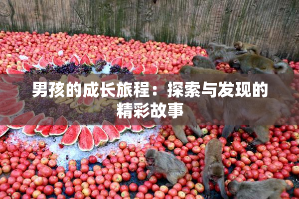 男孩的成长旅程：探索与发现的精彩故事
