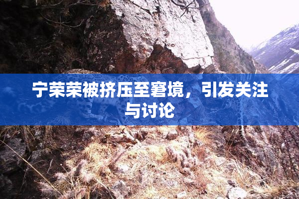 宁荣荣被挤压至窘境，引发关注与讨论