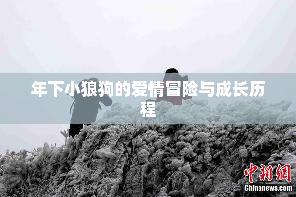 年下小狼狗的爱情冒险与成长历程