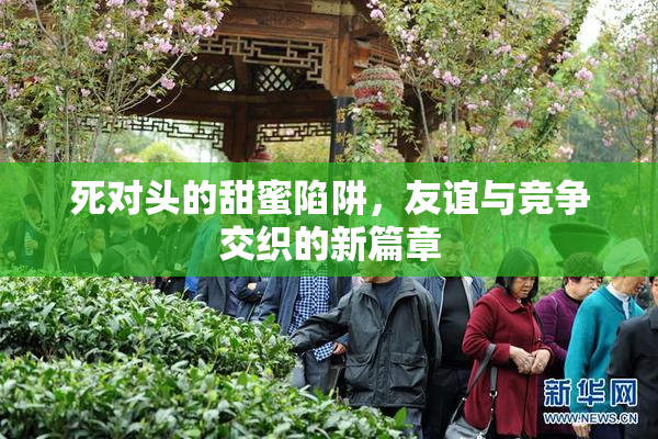 死对头的甜蜜陷阱，友谊与竞争交织的新篇章