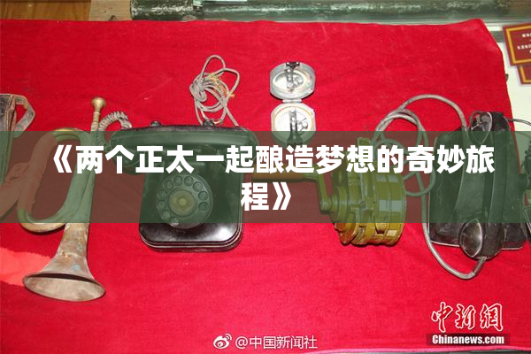 《两个正太一起酿造梦想的奇妙旅程》