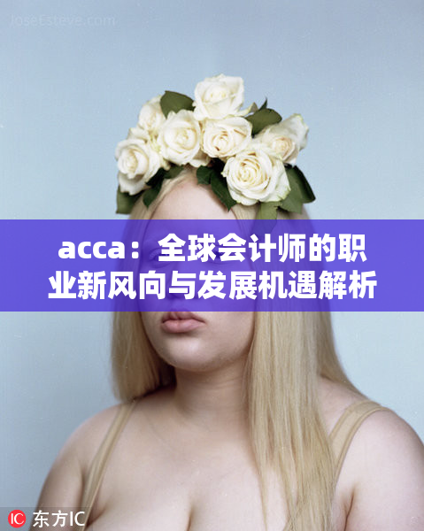 acca：全球会计师的职业新风向与发展机遇解析
