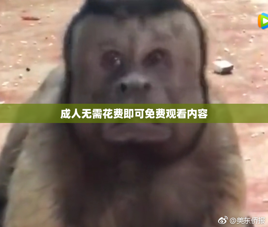 成人无需花费即可免费观看内容
