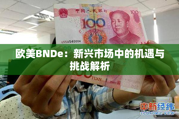 欧美BNDe：新兴市场中的机遇与挑战解析