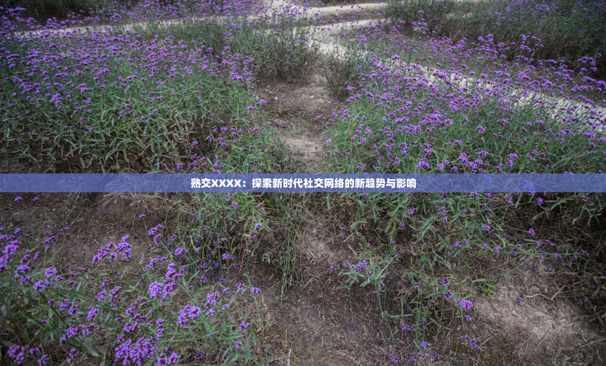 熟交XXXX：探索新时代社交网络的新趋势与影响
