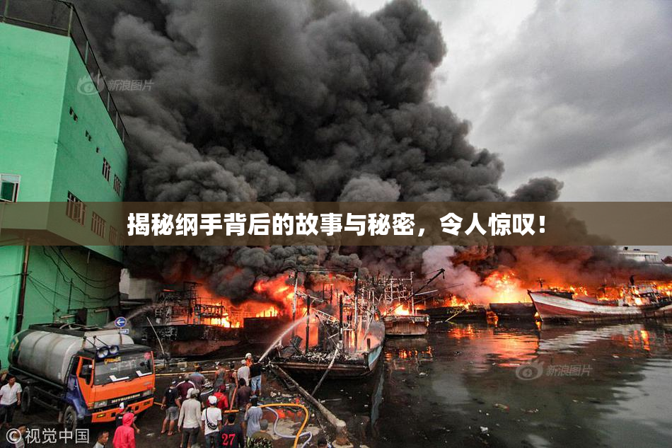 揭秘纲手背后的故事与秘密，令人惊叹！