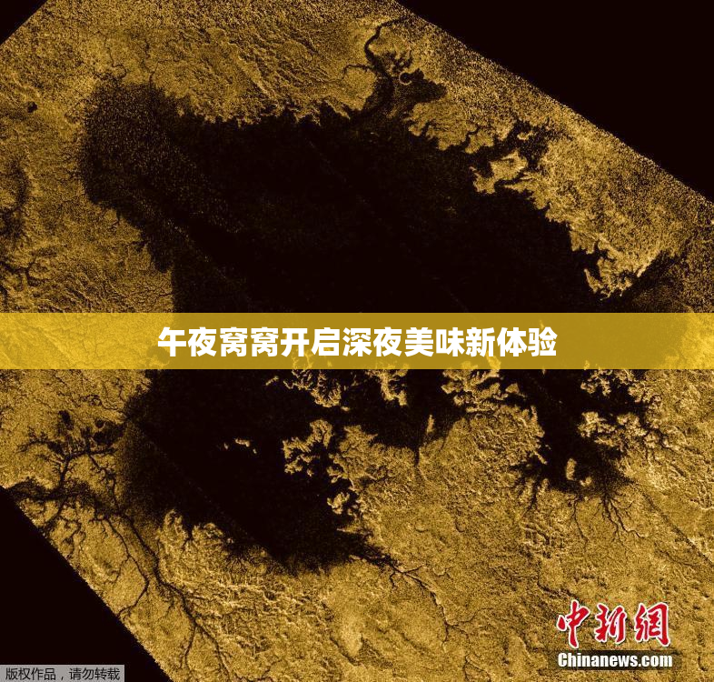 午夜窝窝开启深夜美味新体验