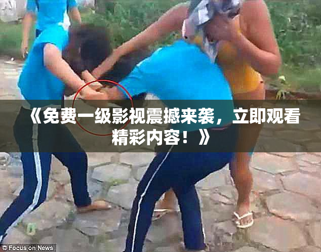 《免费一级影视震撼来袭，立即观看精彩内容！》
