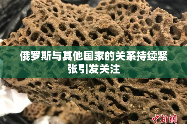 俄罗斯与其他国家的关系持续紧张引发关注