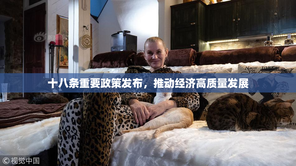 十八条重要政策发布，推动经济高质量发展