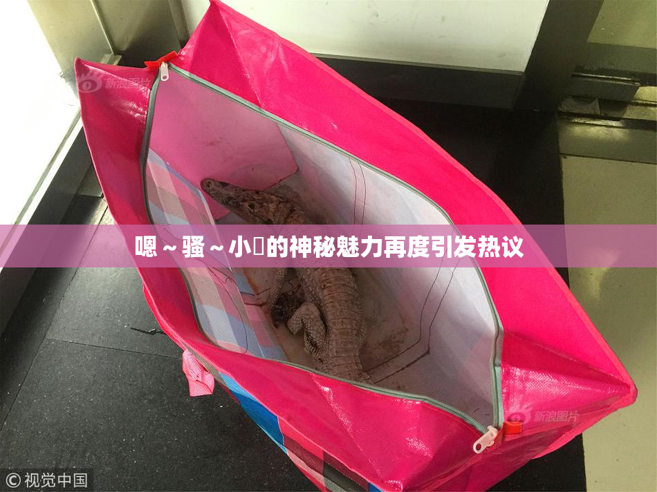 嗯～骚～小婬的神秘魅力再度引发热议