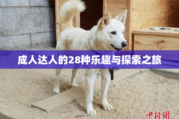 成人达人的28种乐趣与探索之旅
