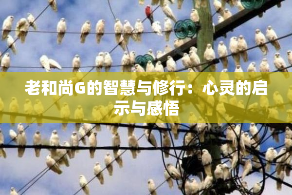 老和尚G的智慧与修行：心灵的启示与感悟