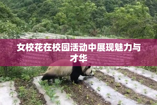 女校花在校园活动中展现魅力与才华