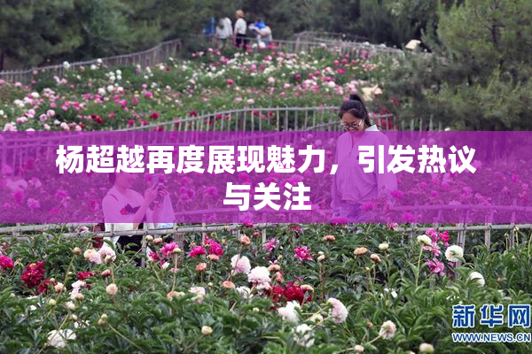 杨超越再度展现魅力，引发热议与关注